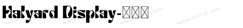 Halyard Display字体转换